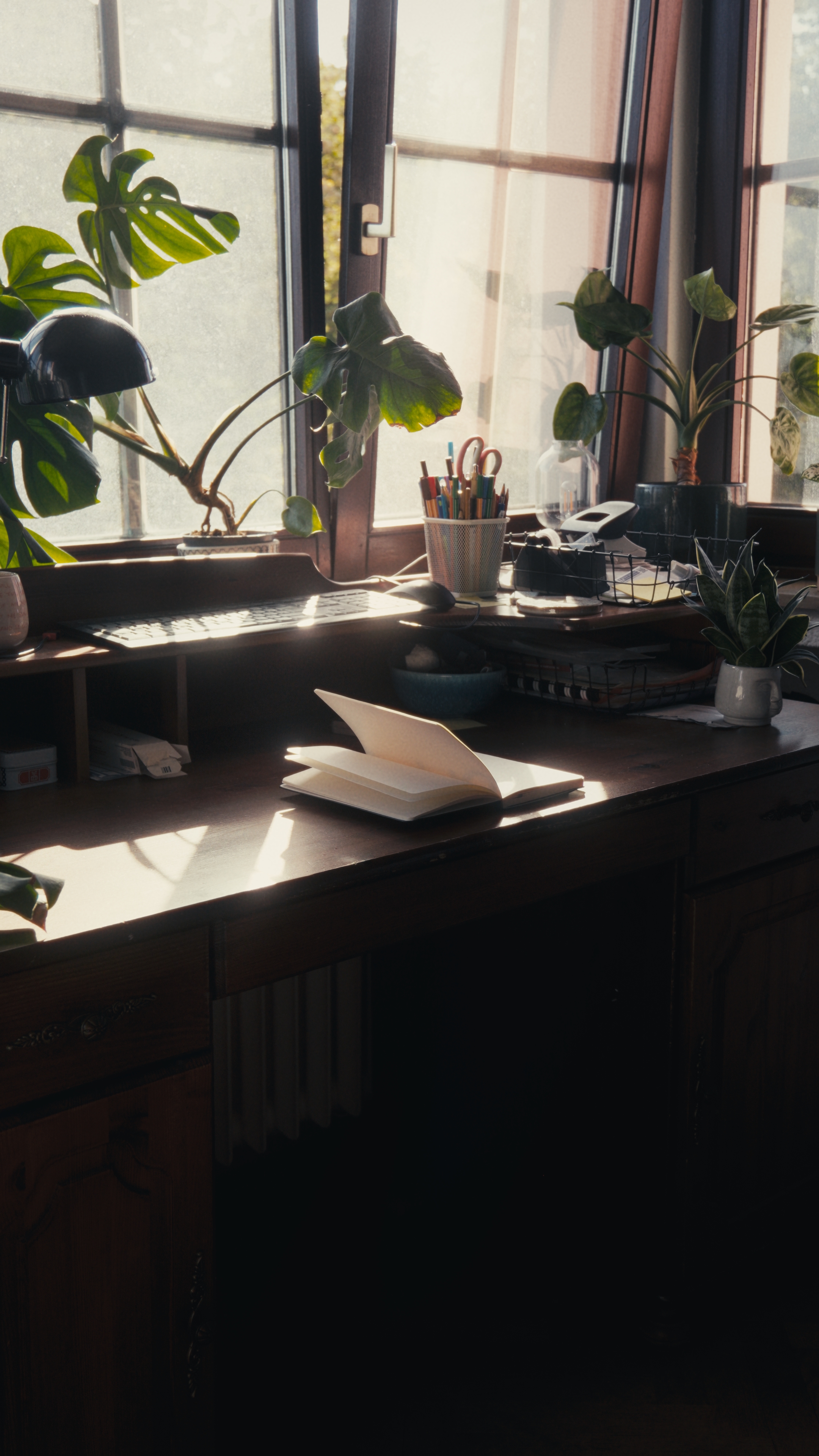 Cinematic Shorts