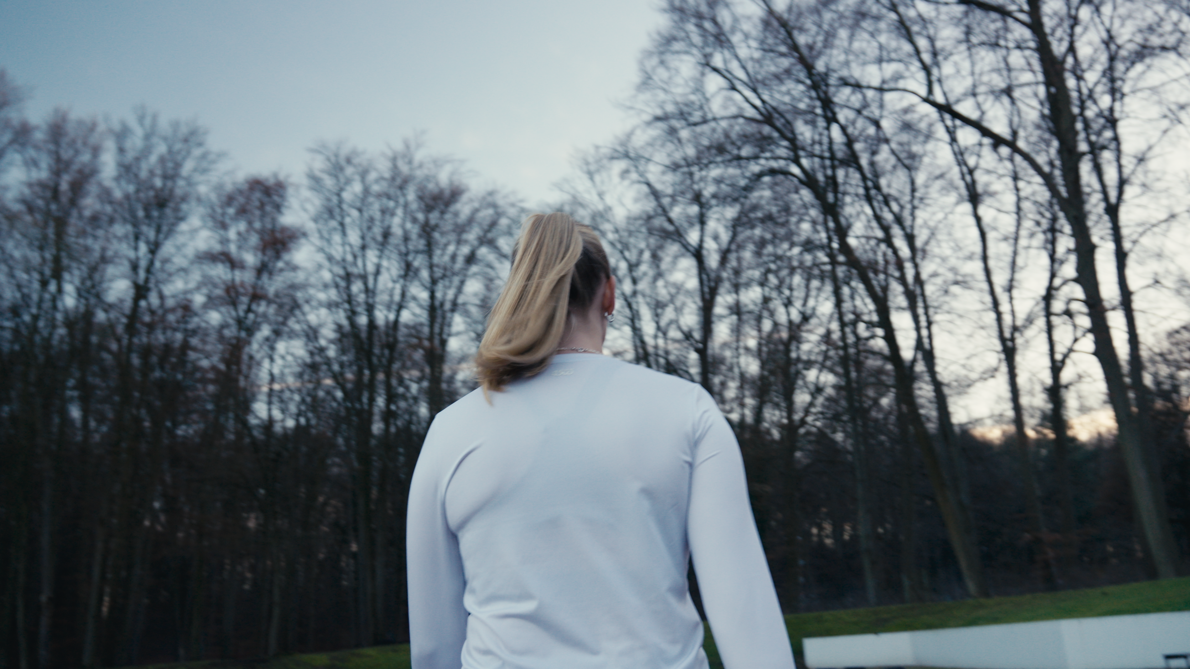 Video 2 Poster